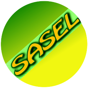 ecusson sasel3